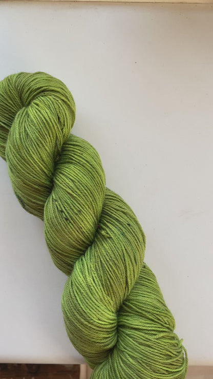 Kyoto | Merino